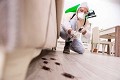 Cream City Termite Removal Experts